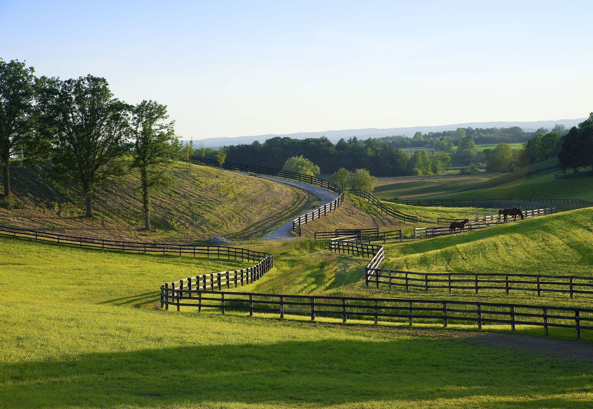 fence contractor