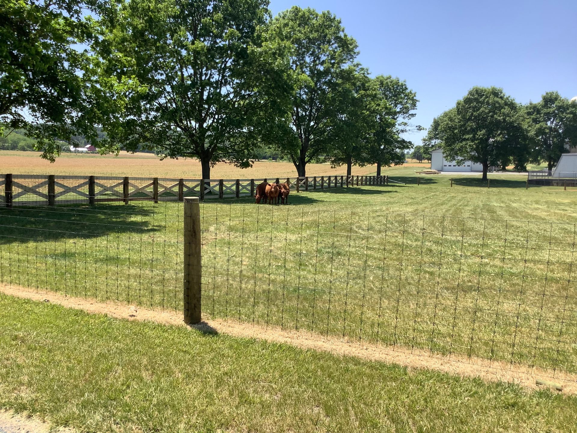 wood post and wire mesh fence installed by agricultural fence contractors near me