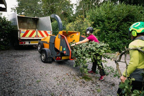 Two workers in safety gear feed branches into a yellow industrial wood chipper parked next to a truck on a gravel drive.