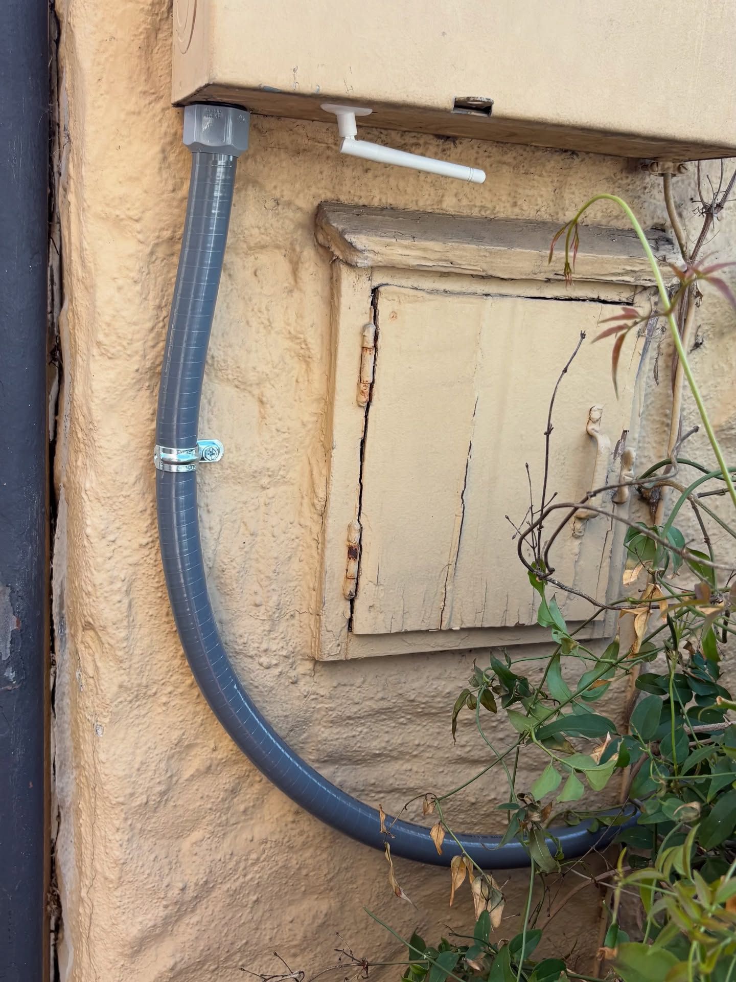 Gray conduit attached to an aged, beige wall with a small, yellow door; vegetation in foreground.