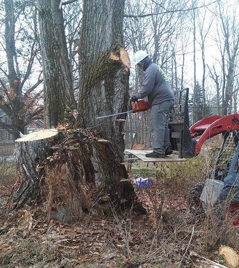 Complete Tree Service | Lot Clearing | Cadillac, MI