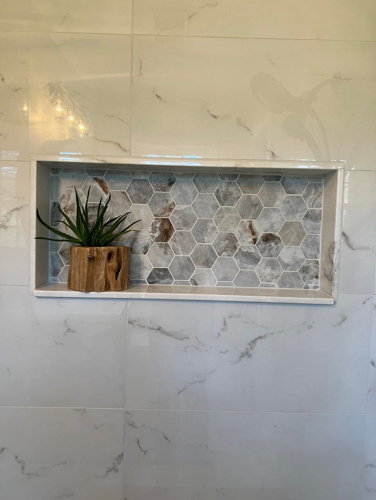 There is a plant in the niche in the shower.