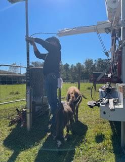 Person working on a metal structure with a dog standing beside them in a sunny grassy field.