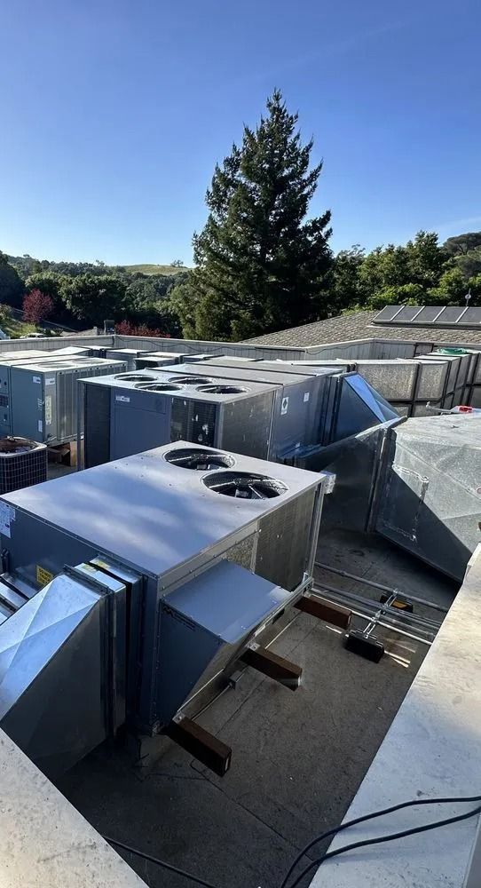 Rooftop HVAC units made of metal, situated on a flat roof under a clear blue sky, with a large tree in the background.