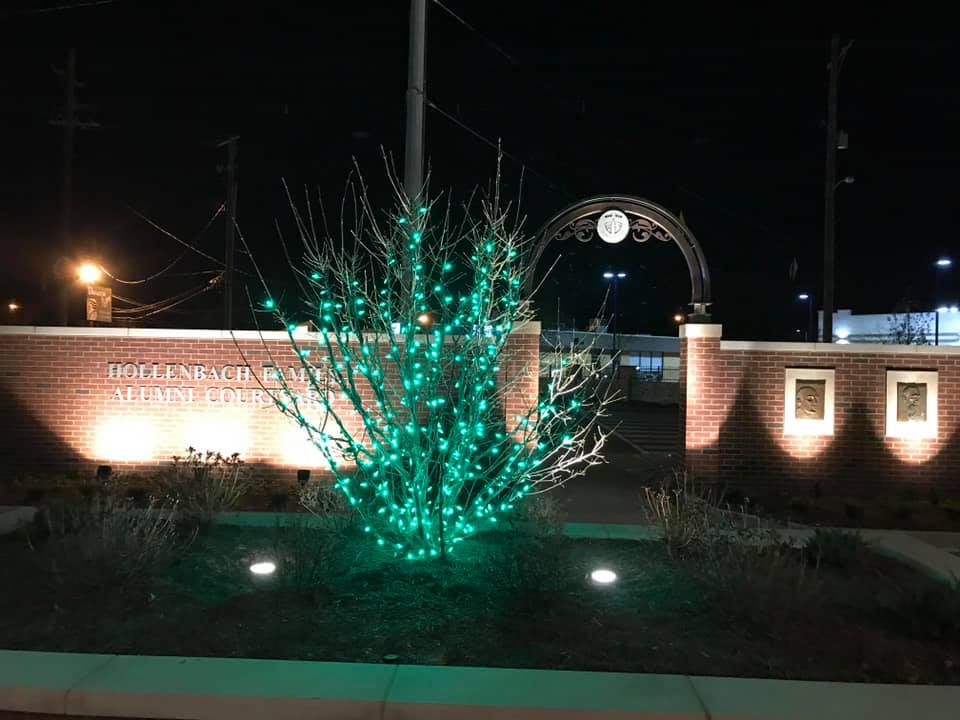 Landscape lighting services