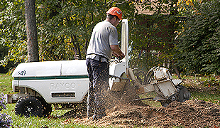Stump Removal and Grinding