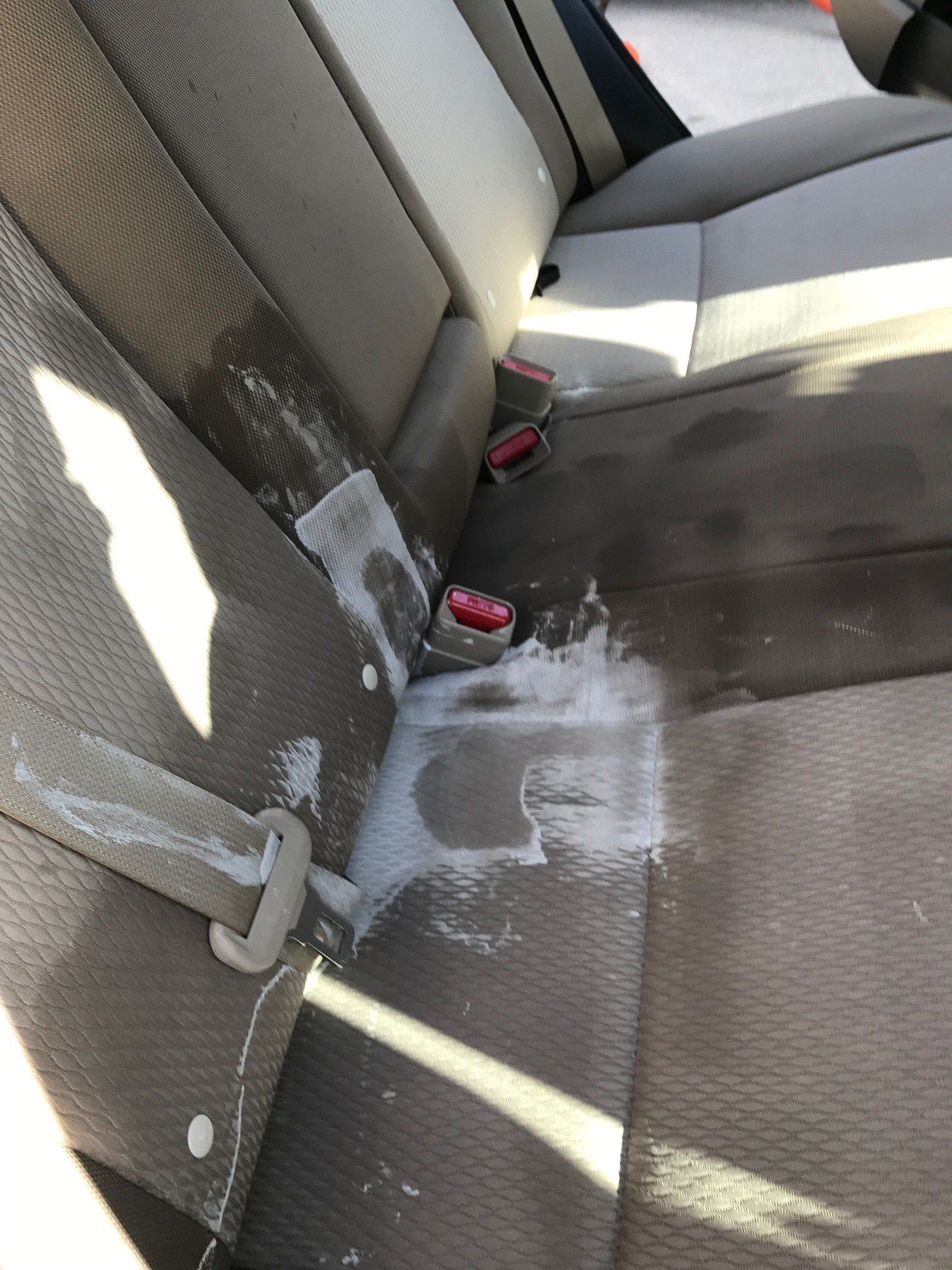 Furniture and Upholstery Cleaning