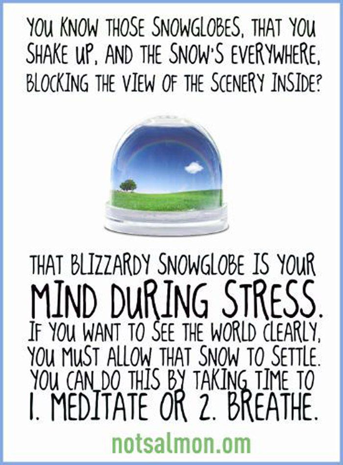 Therapy and Counseling Services