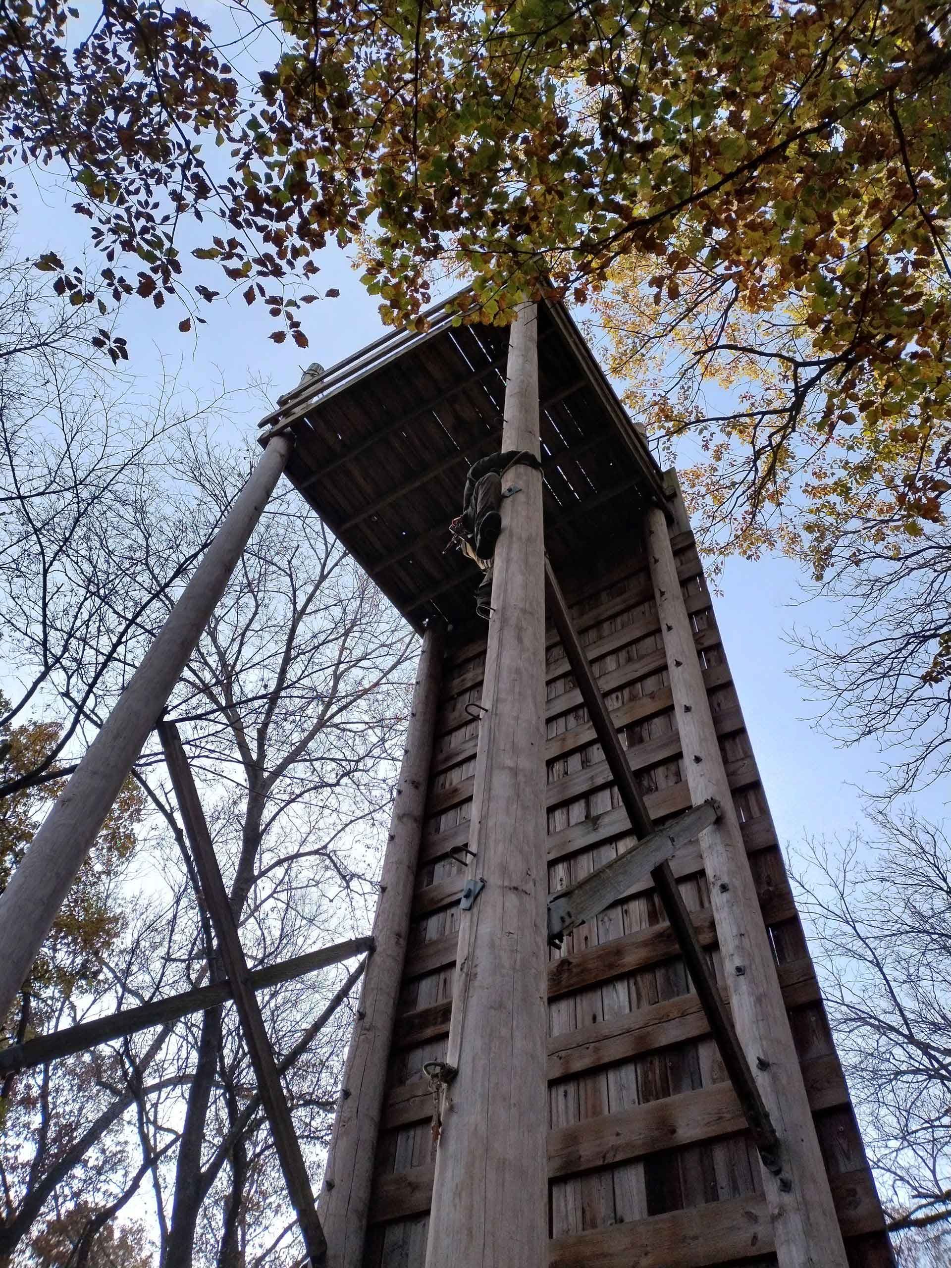 Wooden observation tower in a forest, viewed from below, with sky and autumn leaves visible.