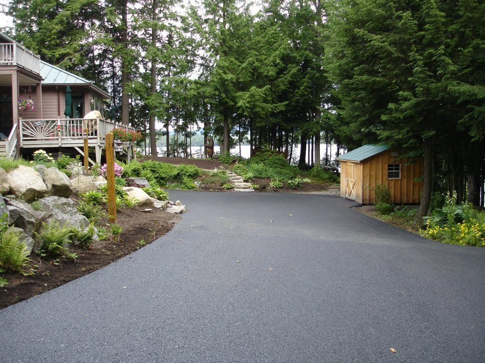A driveway leading to a house surrounded by trees