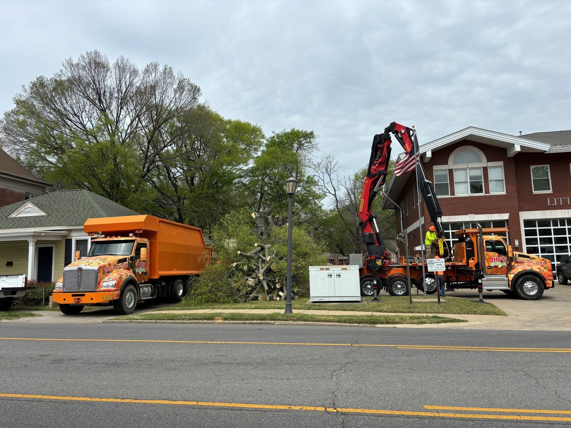 A person is cutting a tree branch with a pair of scissors.