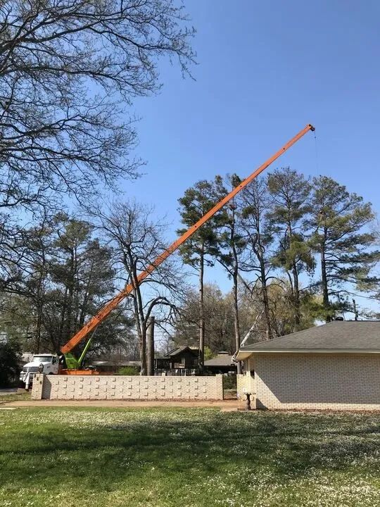 A crane is cutting a tree in front of a house.