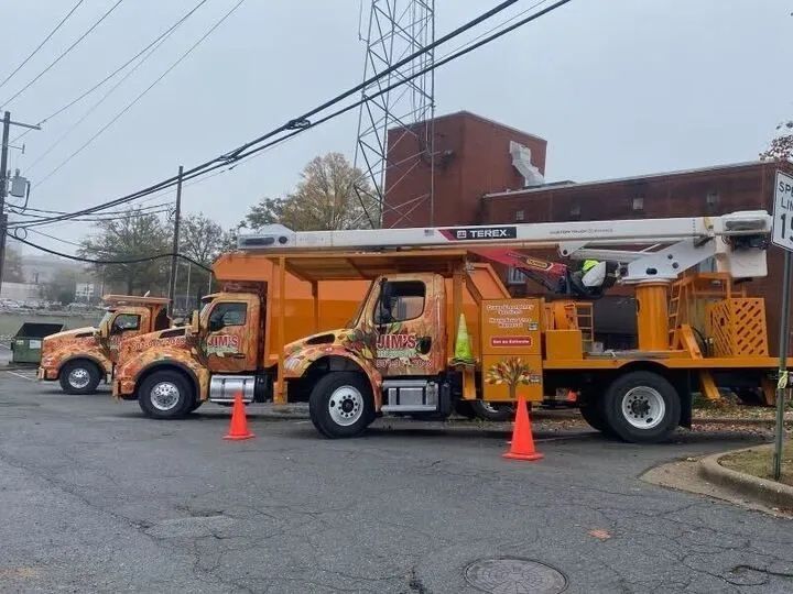 A row of trucks are parked on the side of the road