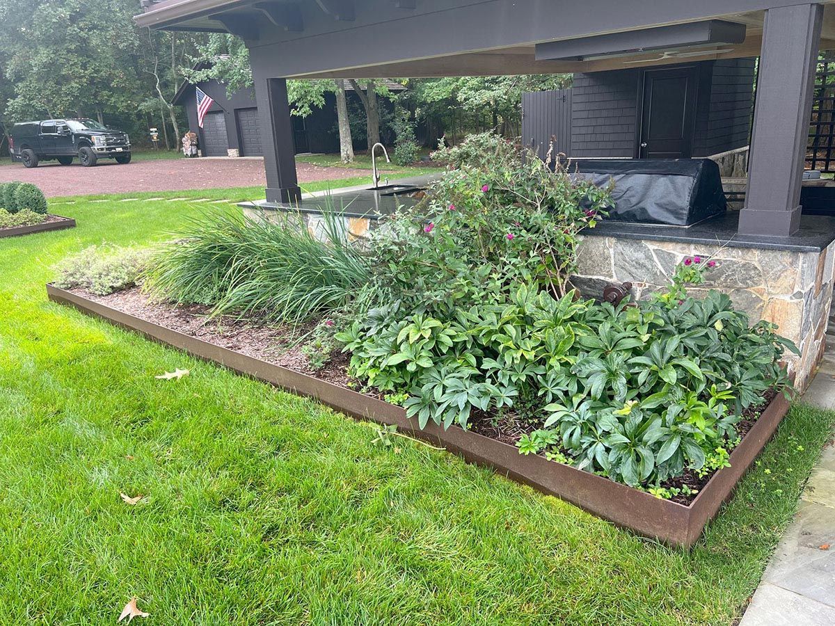 A lush green lawn with a few plants and a pergola in the background