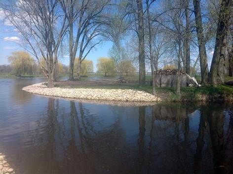 A rocky shoreline curves into a calm river, framed by tall trees under a bright blue sky.