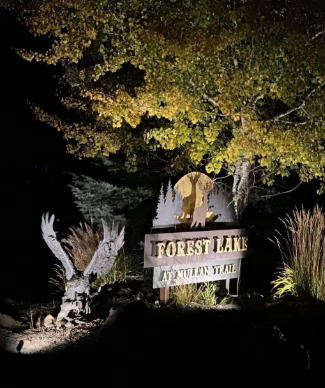 Nighttime entrance sign for Forest Lake illuminated by spotlights, framed by trees and a bird sculpture.