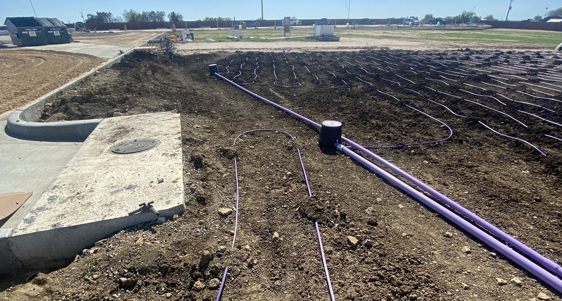 Purple irrigation pipes on bare soil beside a concrete curb at a construction site.