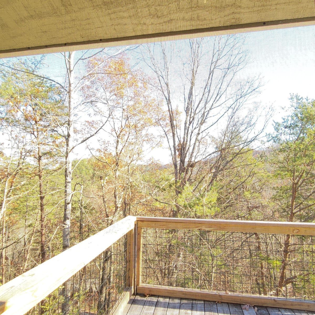 A screened in porch with a view of a forest.