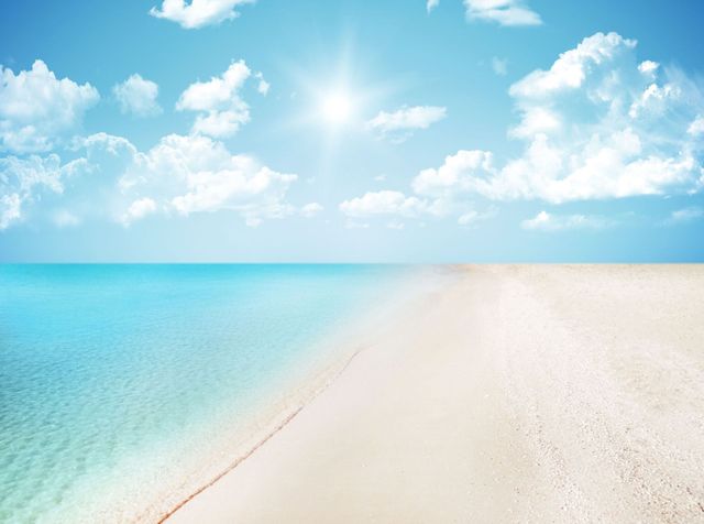 Sherry Callahan's Travel Associates