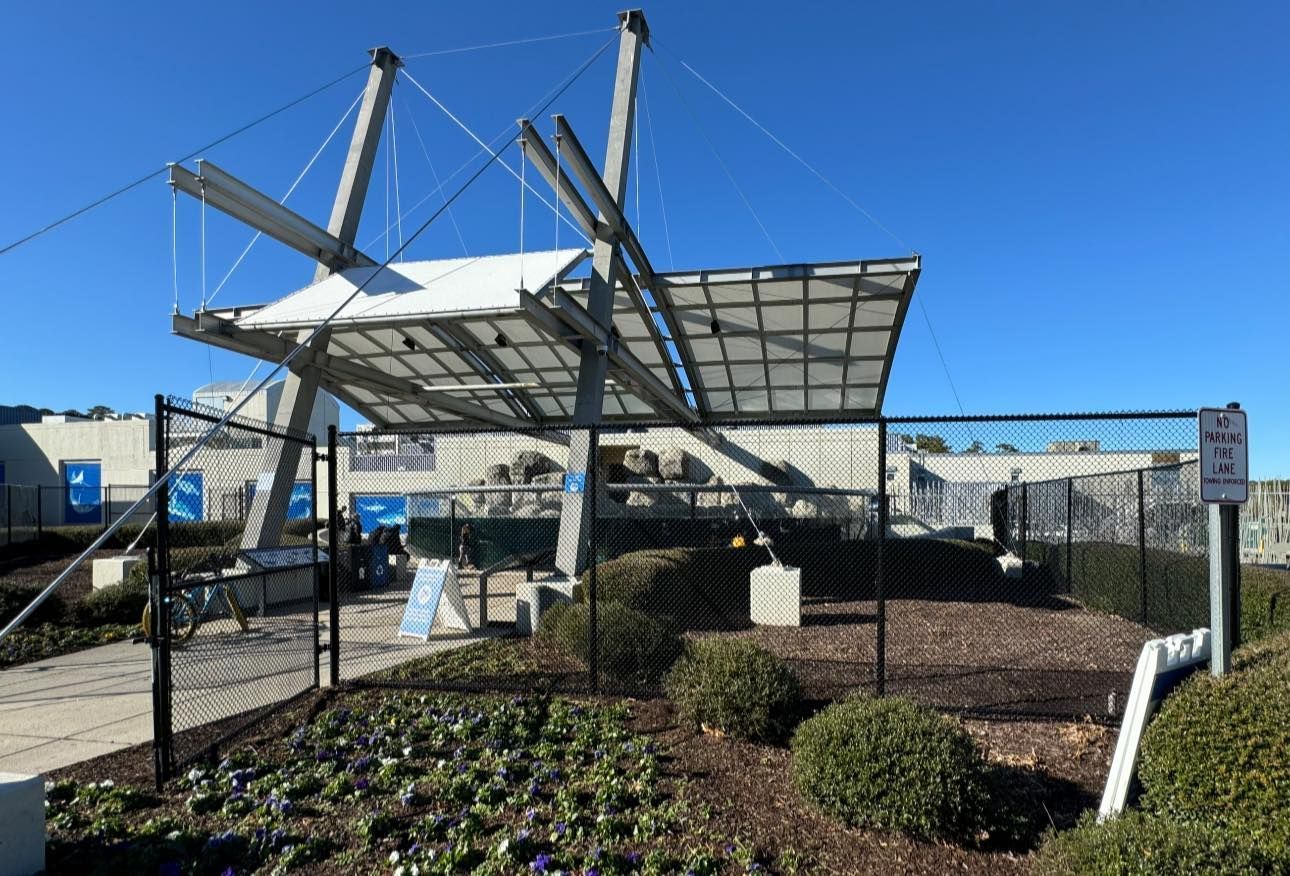 A fenced in area with a roof that has a lot of solar panels on it.