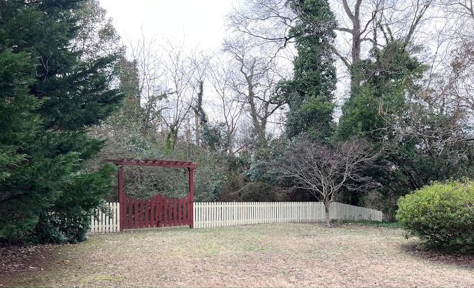 There is a red gate in the middle of a yard surrounded by trees.
