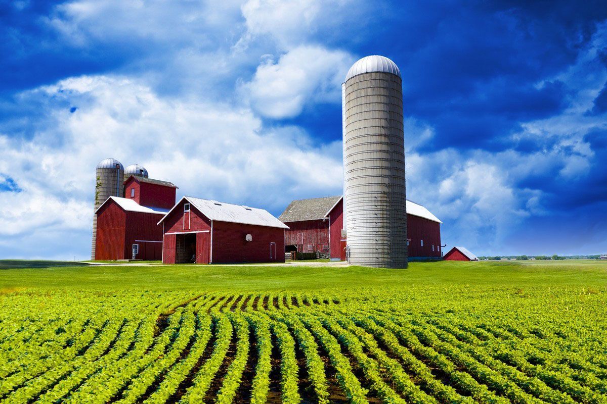 Red farm buildings and silo on a green field under a blue, cloudy sky.