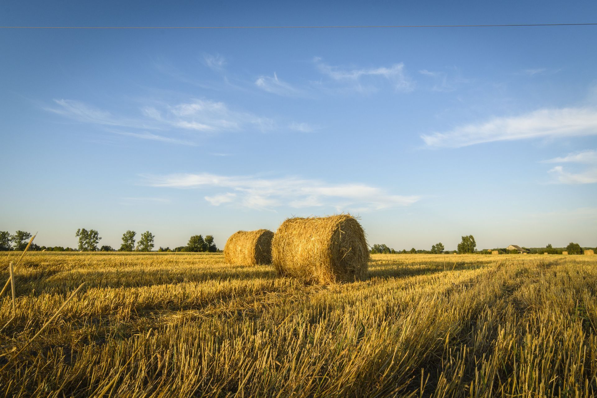 Hay bales in a golden field under a blue sky.