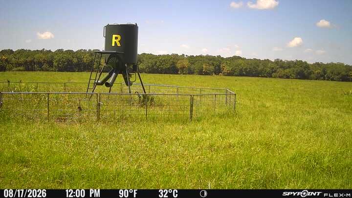 Black hunting blind on stilts in a grassy field under a blue sky.