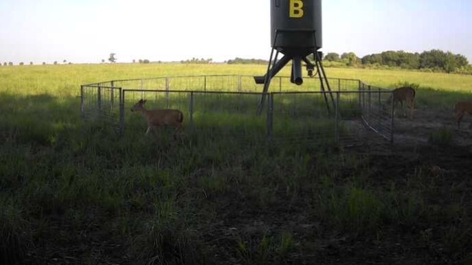 Rural field with a deer feeder on stilts and a fenced area in the foreground.