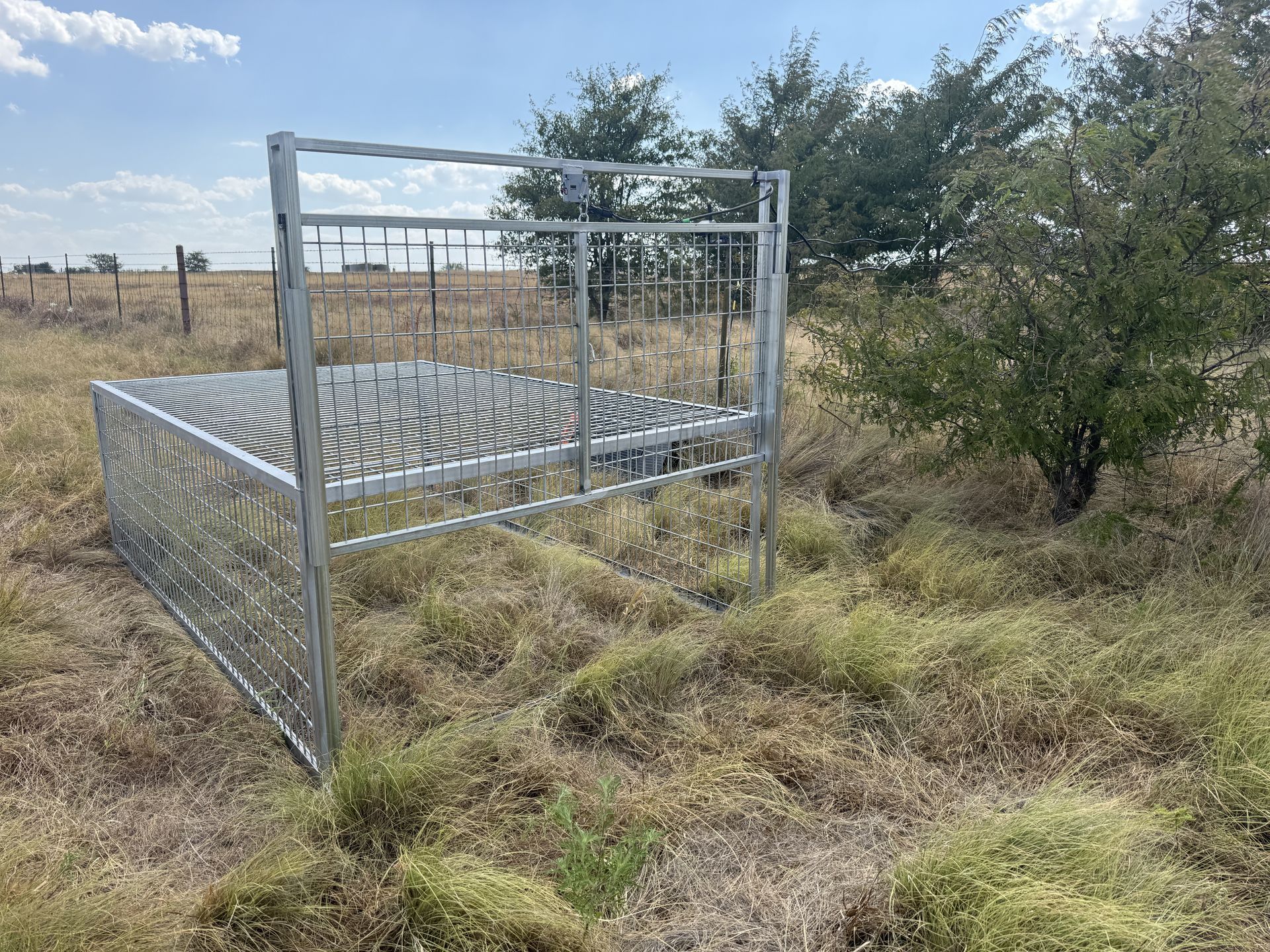 Metal livestock pen with zigzag cattle guard in a dry grassy field beside a tree