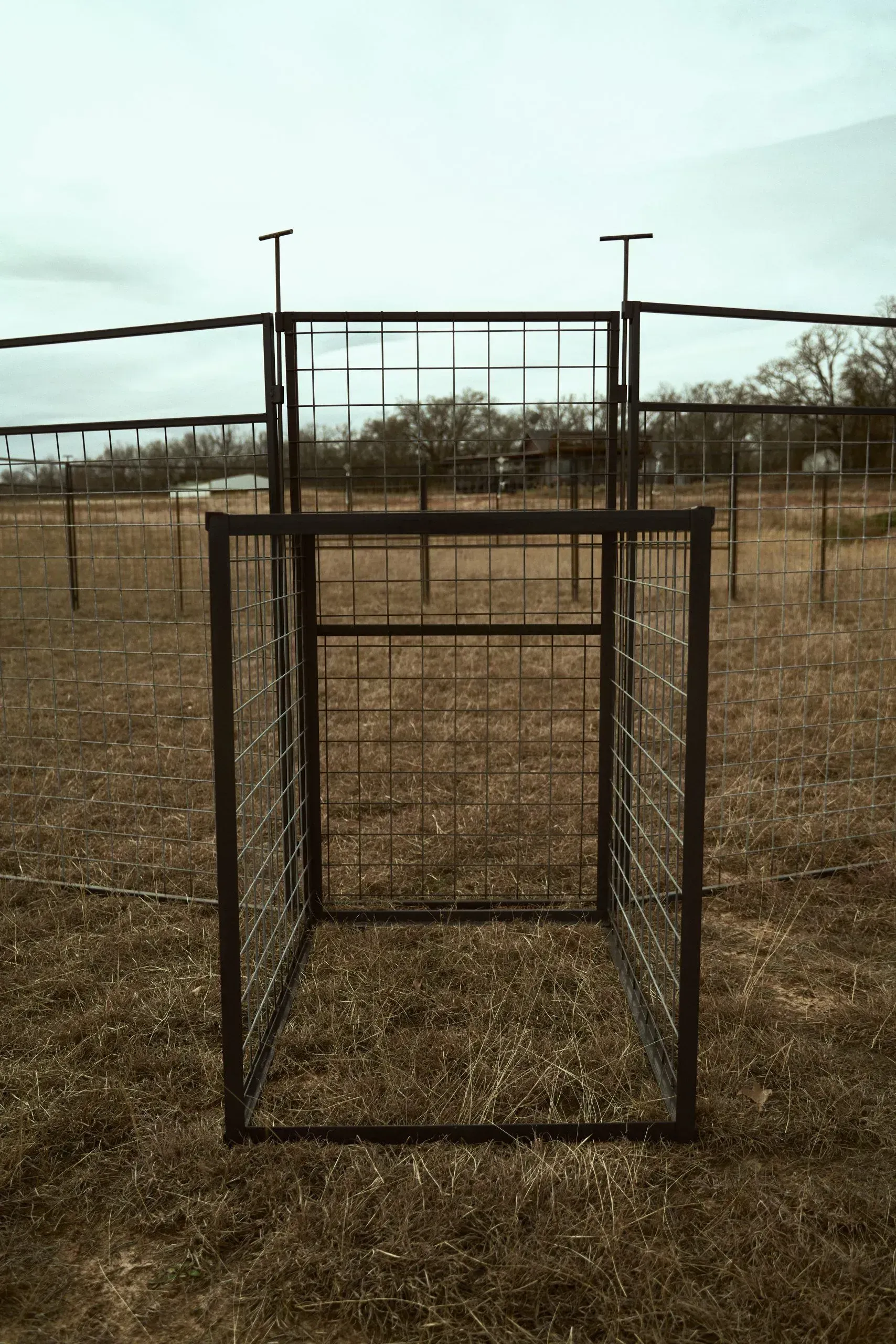 Metal animal pen on grassy field, part of larger fenced area, under overcast sky.