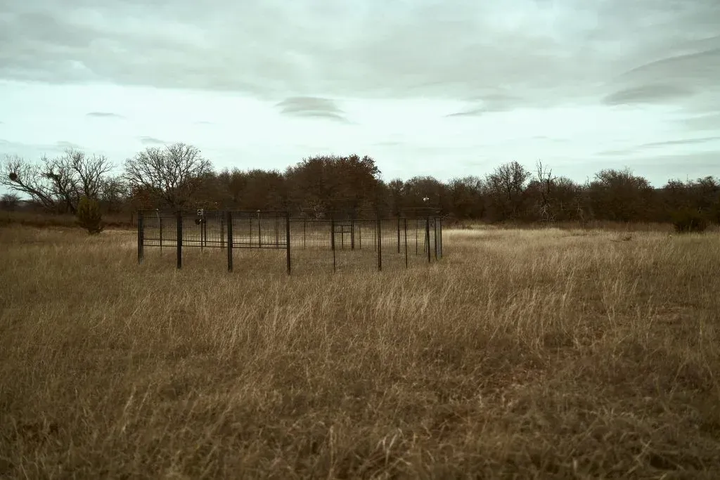 A field of tall dry grass with a ring of wooden posts, cloudy sky in the background.