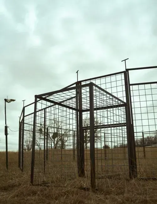 Cage trap in a field under a cloudy sky.