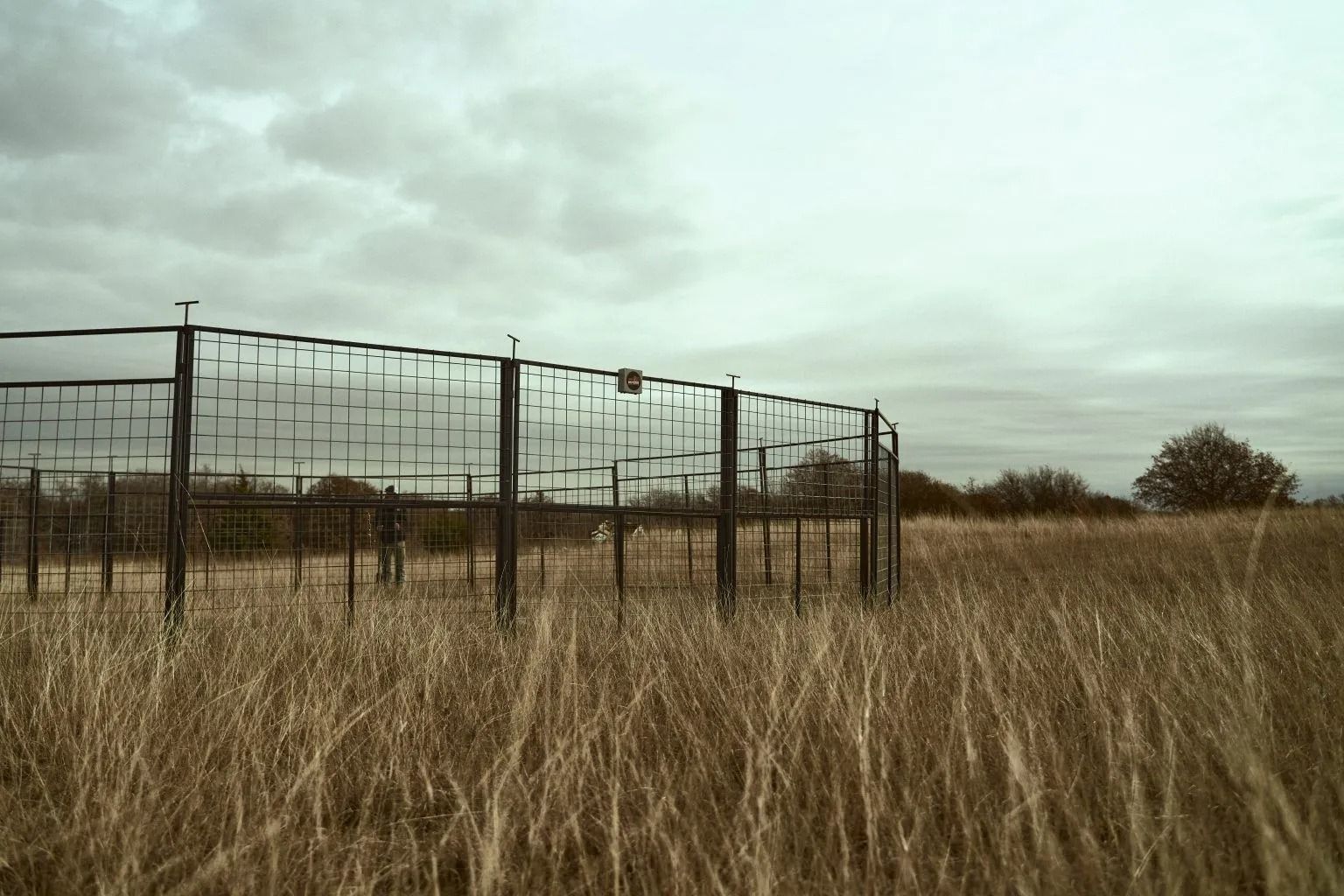 Metal art installation in a field of tall, dry grass under an overcast sky.