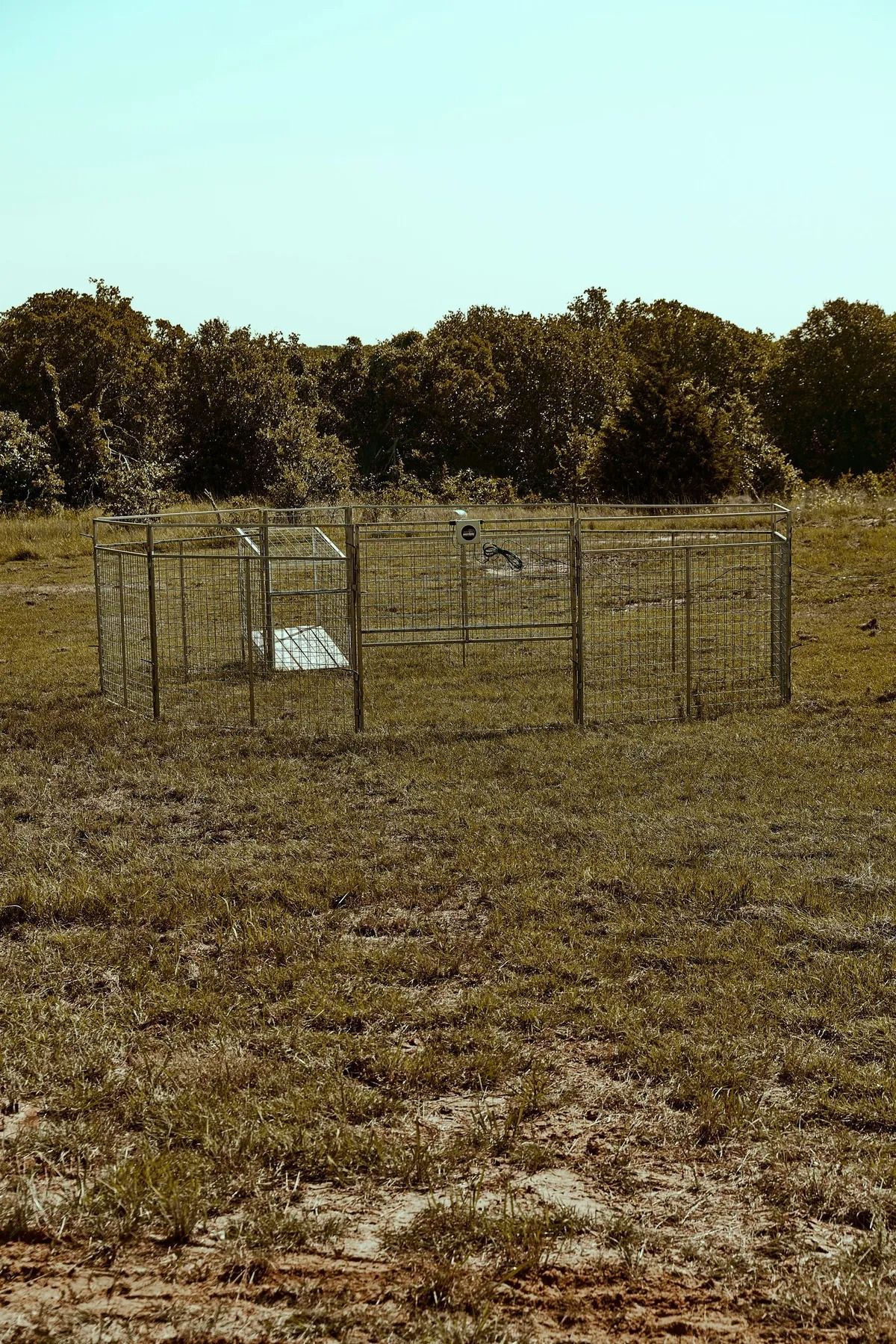 A metal cage structure on grassy field with shrubs in the background under a blue sky.