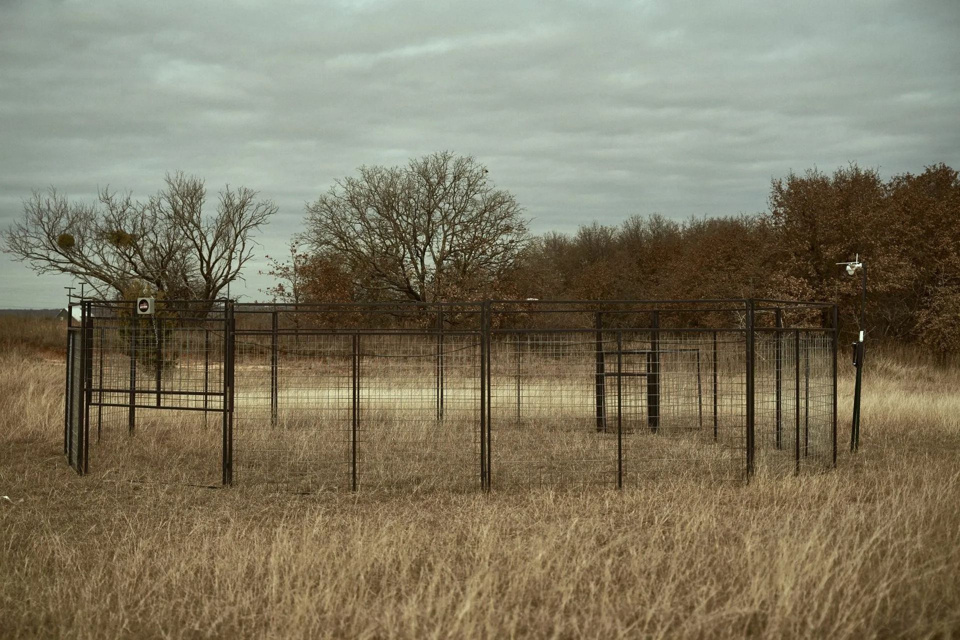 Circular metal fence structure in a field with sparse trees under a cloudy sky.