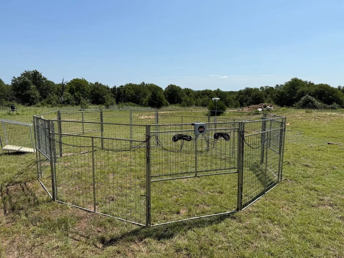 Metal pen in a grassy field, likely for animals, with trees in the background under a blue sky.