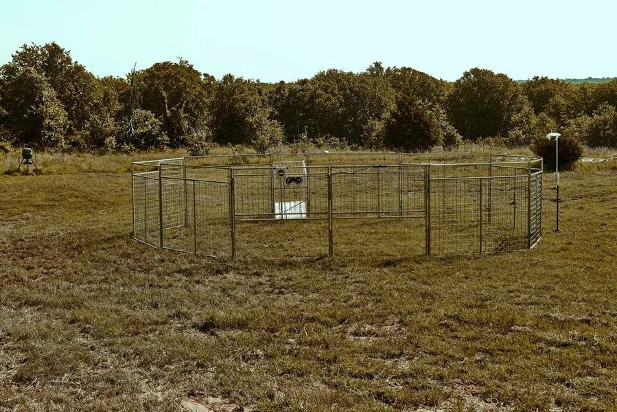 An enclosure with metal fencing in a grassy field, trees in the background under a blue sky.