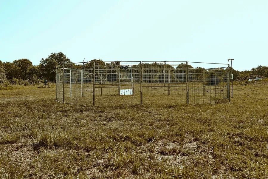 A large, circular metal enclosure in a grassy field, under a bright blue sky.