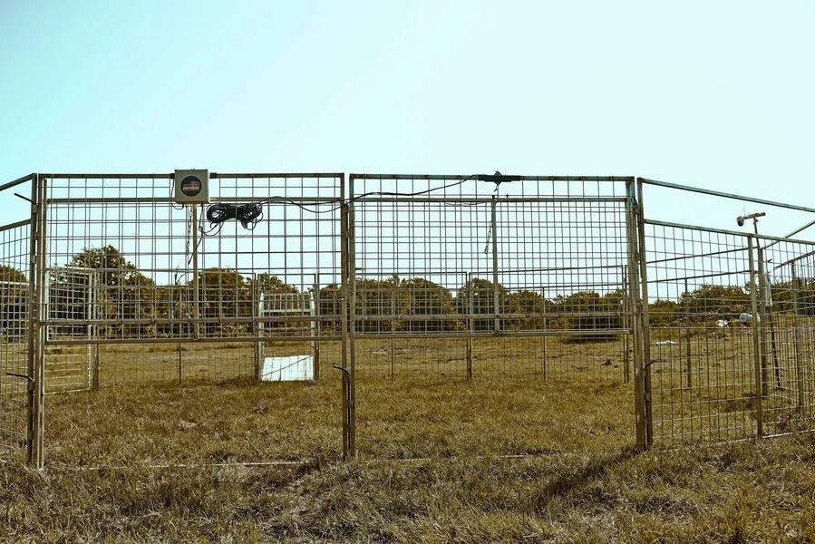 Metal cage structure in a grassy field against a blue sky.