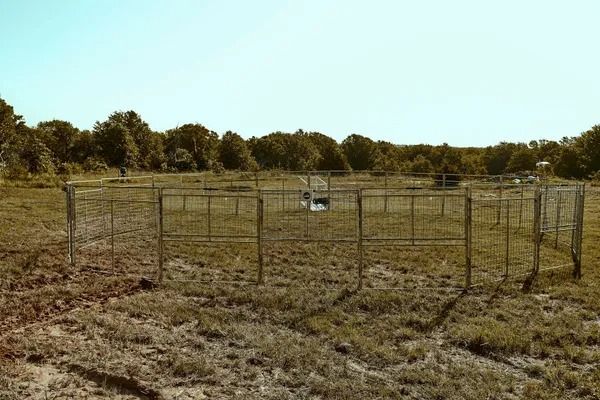 A circular metal fence encloses a grassy area. Trees line the background under a blue sky.