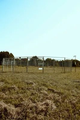 Metal enclosures in a grassy field with trees in the background, under a blue sky.