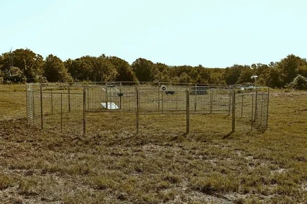 Metal animal pen in a grassy field with trees in the background under a blue sky.