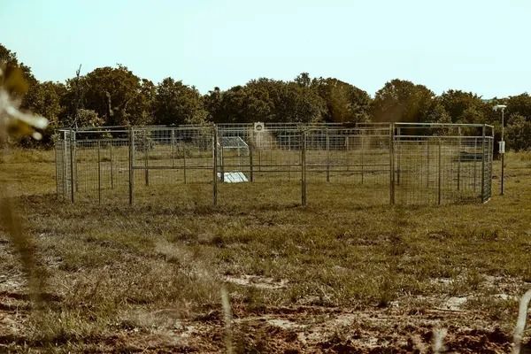 Metal enclosure trap in a grassy field with trees in the background under a blue sky.