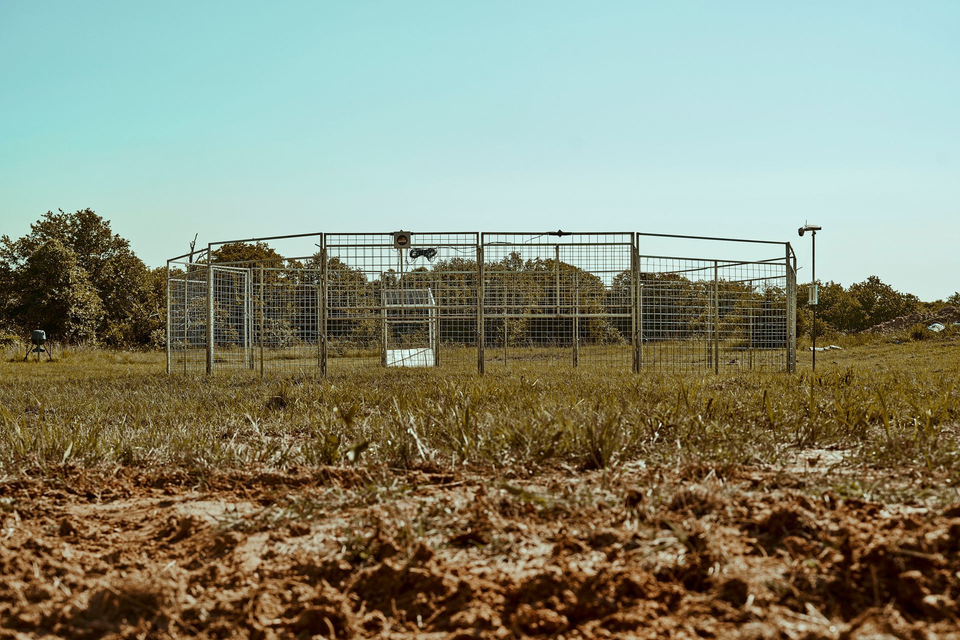 Empty metal livestock pen in a dry field under a clear sky
