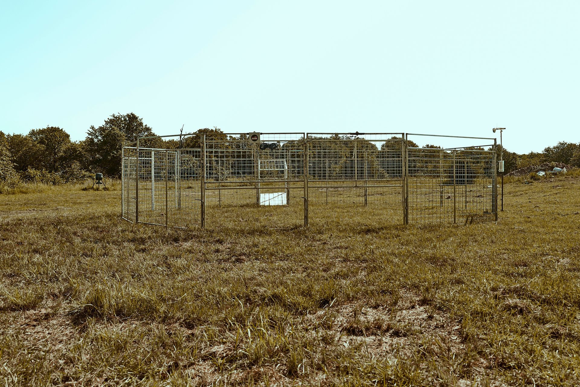 Metal animal enclosure in a grassy field under a clear sky