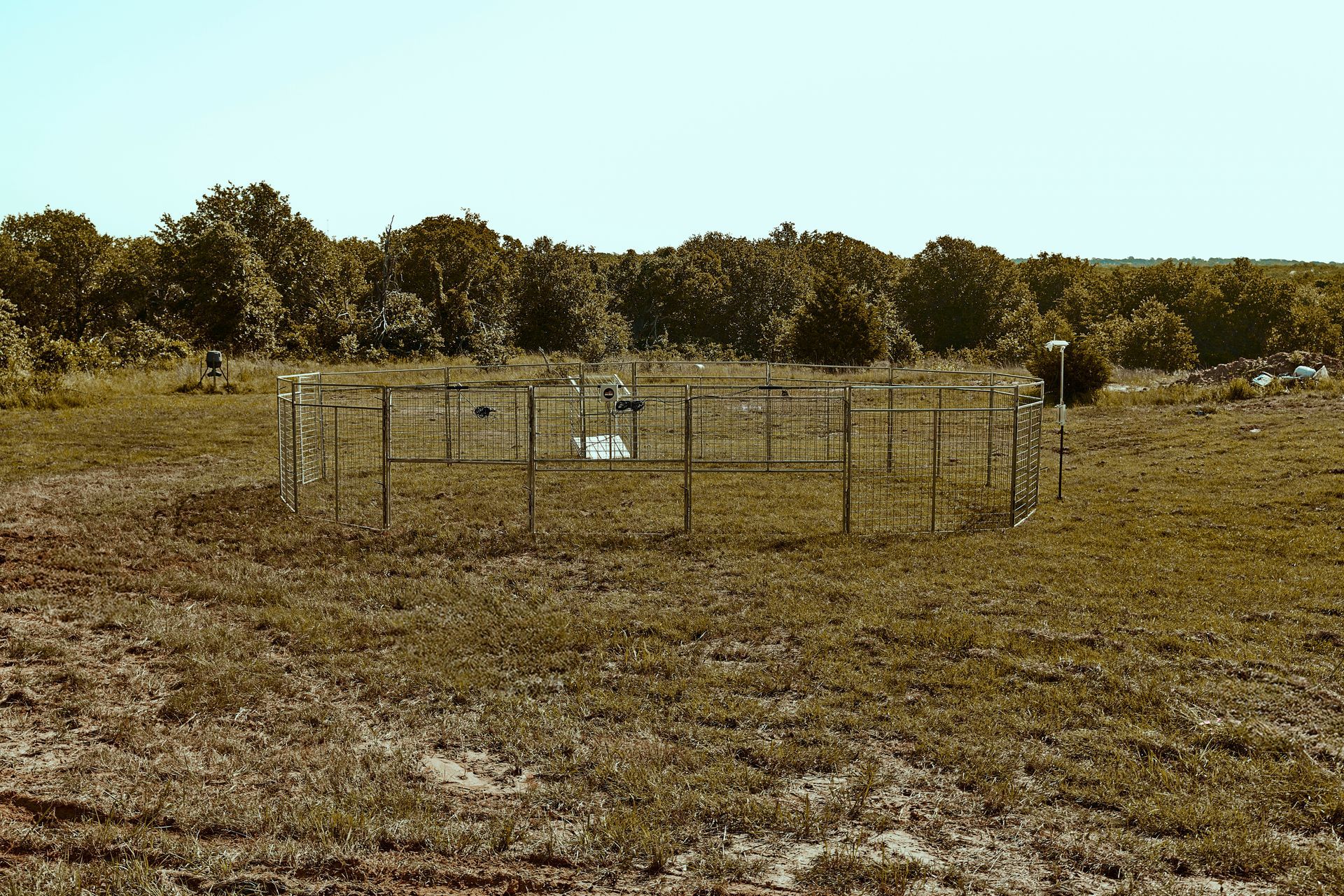 Round wire enclosure in a dry grassy field with trees in the background