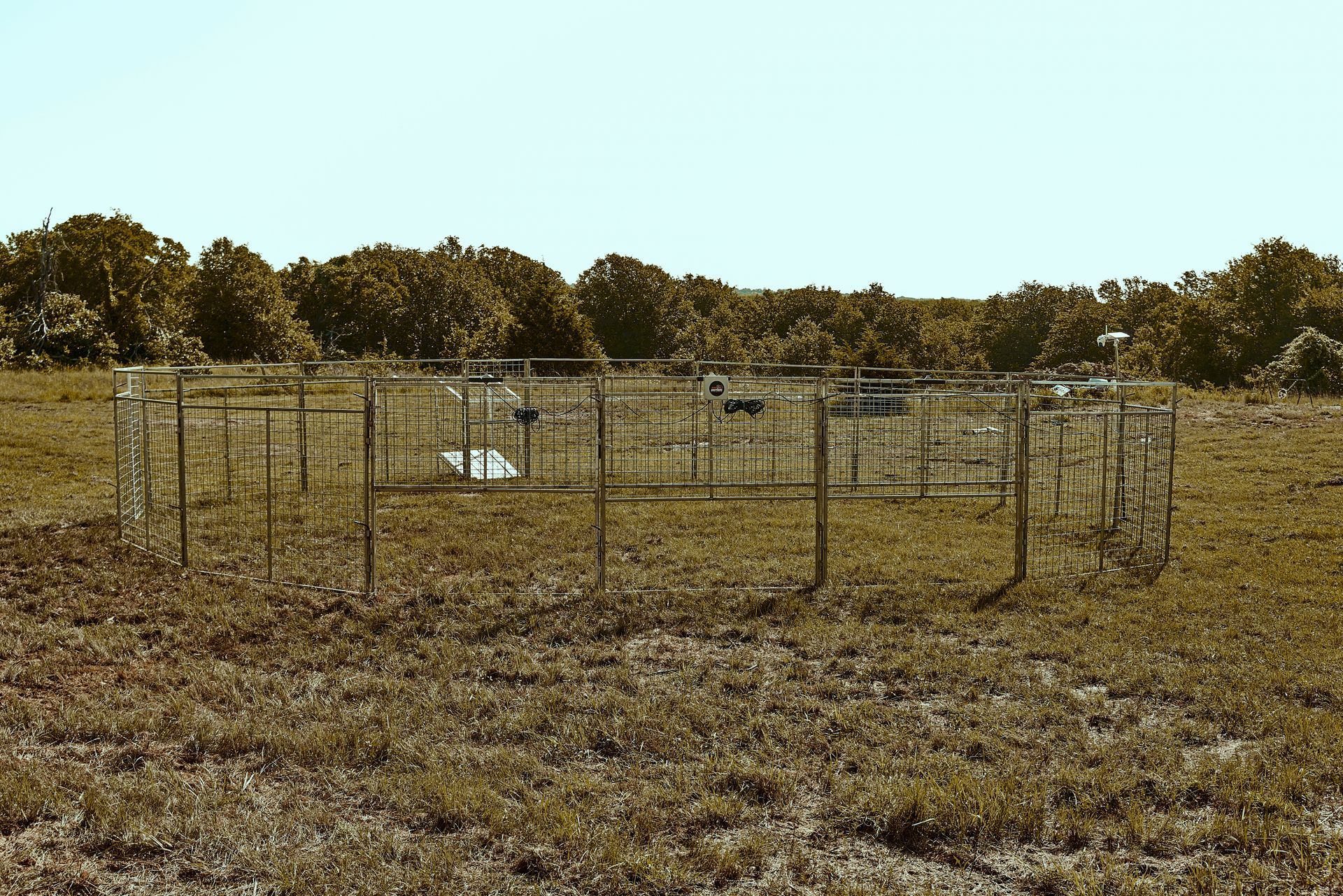 Dry field with several wire enclosures and trees lining the horizon under a clear sky.