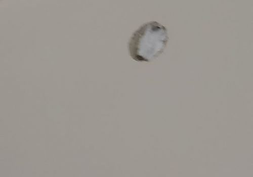 browns-drywall-repair