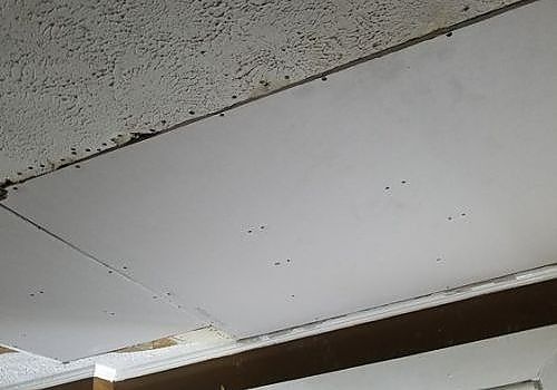 Damaged ceiling panel with water stains and a sagging corner above a room opening